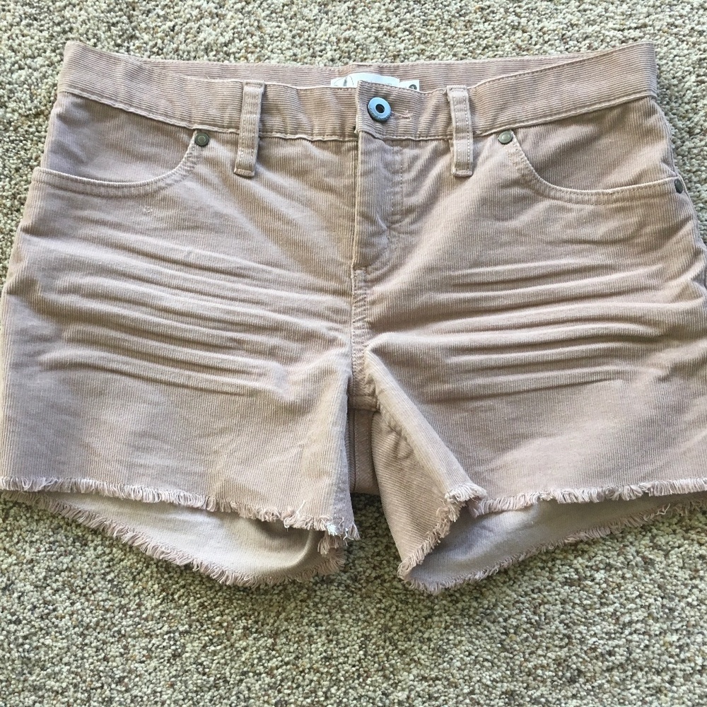 Carve Designs Oahu Shorts